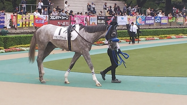 倶楽部 広尾 サラブレッド
